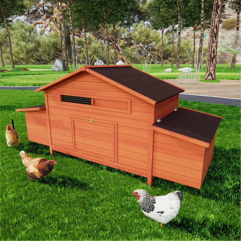 Grande cage à poules pour l'extérieur avec 2 boîtes de nidification et 2 portes étanches