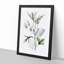 White Hibiscus Flowers - Framed Print-55641062-55641064