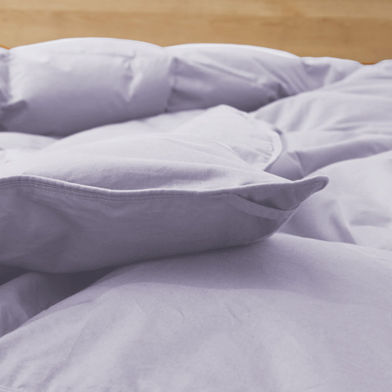 All Season Cotton Down Comforter/Duvet Insert, King Comforter, Purple