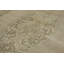 Wool Oriental Area Rug in Beige/Brown, Gray/Silver, Green