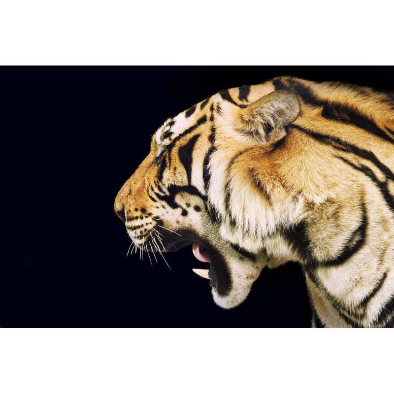 Tiger by Tunart - Wrapped Canvas Print, 51cm H x 76cm W x 3.8cm D