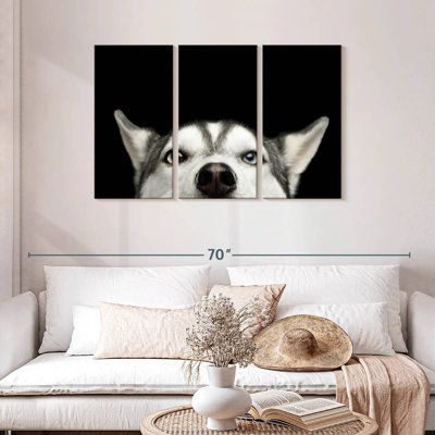 Brampt Peeking Siberian Husky