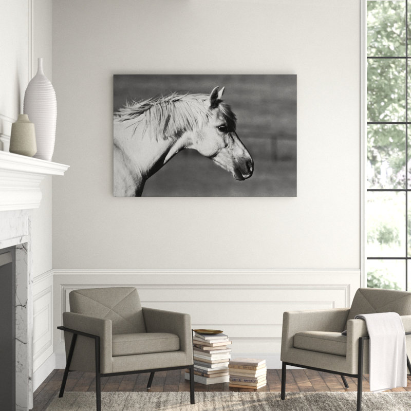 Mystic' Photographic Print