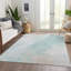 Tapis intérieur / extérieur lavable à la machine Cinead ACN1675 Seafoam-104392636