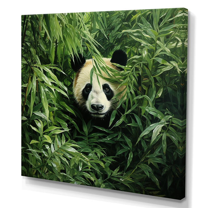 «Foliage Peekaboo Panda II», art mural animal panda, H 36 po x l 36 po x P 1,5 po, Toile tendue