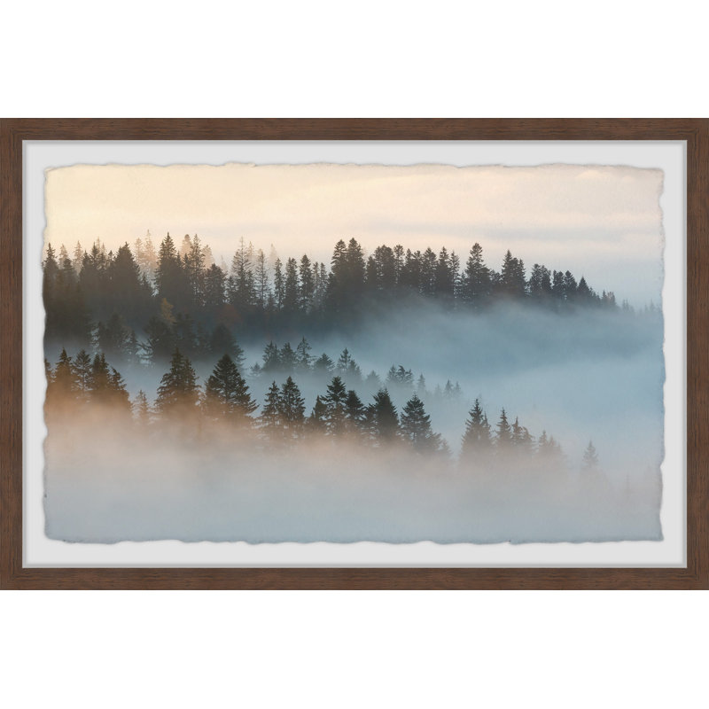 «Morning at the Forest» par Marmont Hill - reproduction d'art sur papier encadrée, H 16 po x l 24 po x 1,5 po