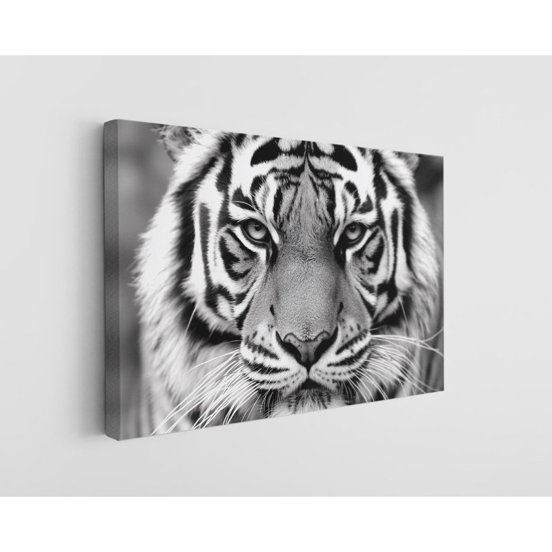 Black and White Portrait of a Tiger on High-Quality Canvas Print - Handcrafted Wall Decor - Stylish Art - Gift - Wall Decor