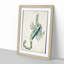Astronomical Zodiac Chart Of The Scorpio - Single Picture Frame Painting-57844093-57844094