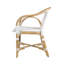 Portofino 18.75 in. Seat Height Rattan Arm Chair, White & Gray-199067114