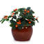 Pot de fleurs orange en céramique brillante de 3, pot de fleurs moderne pour patio, jardin, intérieur, avec gel et avec drainage intégré avec 3 pots de fleurs, météo avec trou