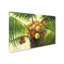 «Coconut Palm II» par Victor Giton - reproduction d'art sur toile tendue-31383567