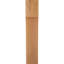 Attelle de genou Westlake-29310046-31230611-80794428