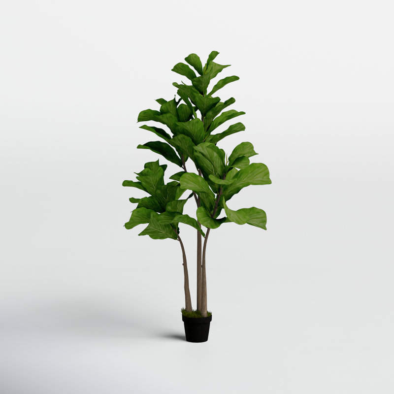59.1'' Faux Fiddle-Leaf Fig Tree Tree in Cement Pot