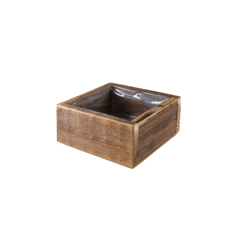 Boîte à fleurs carrée 7,9 po x 3,5 po Serene Spaces Living Barklyn