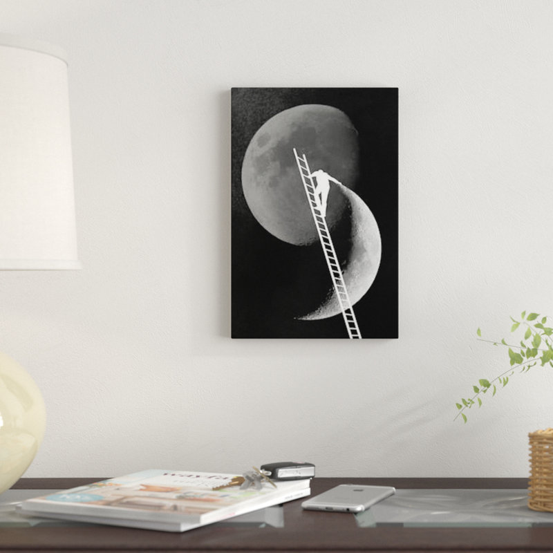 « light side of the moon », reproduction d’impression sur toile, H 40 po x l 26 po x P 1,5 po, Toile tendue, Pas de tapis