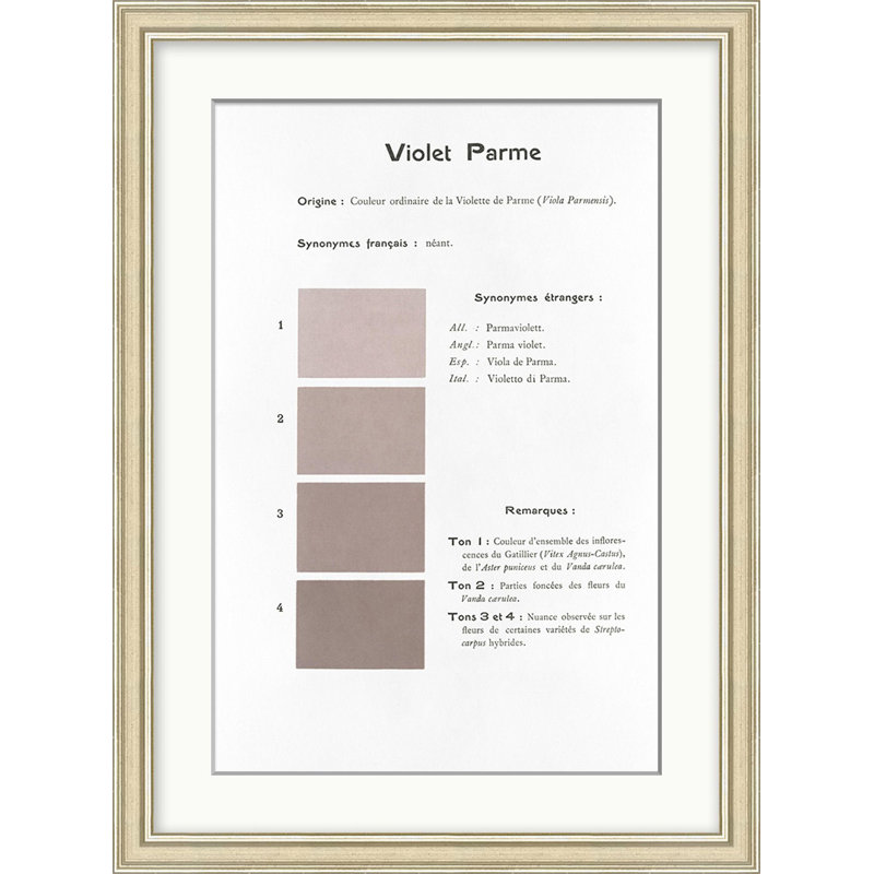 Violet 2 Print by Danielle Rollins