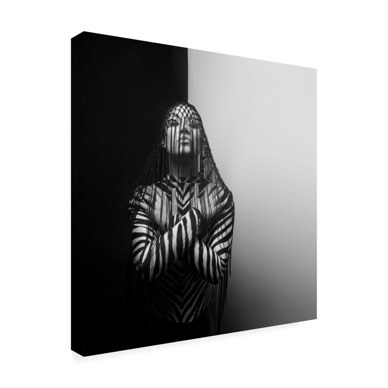 Mk.   Art sur toile zébré, H 14 po x l 14 po