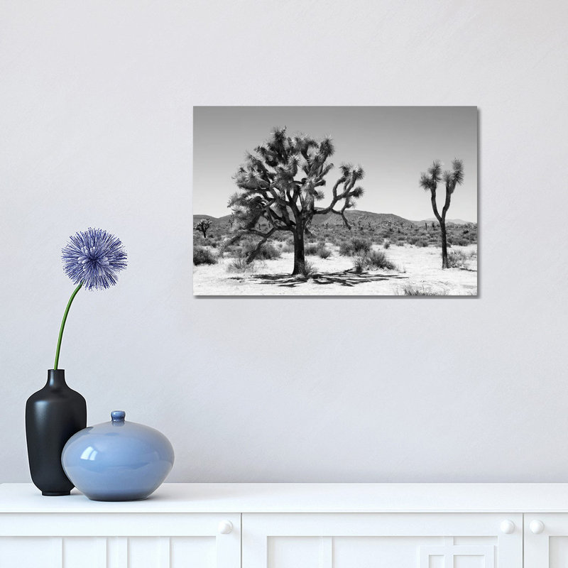 Yucca Joshua Tree by Philippe Hugonnard - Wrapped Canvas Print, 30.48 cm H x 45.72 cm W