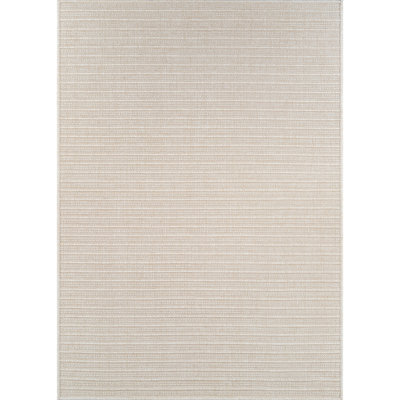 Indoor Outdoor Area Rug