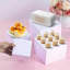 23cm W Acrylic Storage Rack