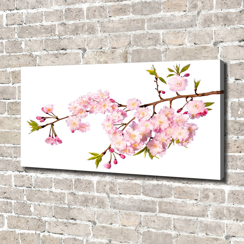 Wild Rose - Wrapped Canvas Print