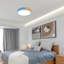 Eulane 1-Light 30cm LED Flush Mount Ceiling Light-1733551534