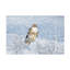 Art sur toile «olog »-104135258