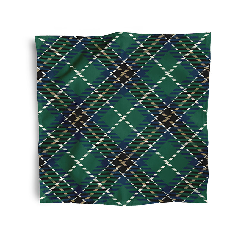 Januario Polyester Plaid Square Napkin, Green