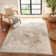 Oriental Area Rug
