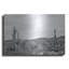Art mural en métal Union Rustic «Sonoran Wonderland Bw» par Nathan Larson-498177647