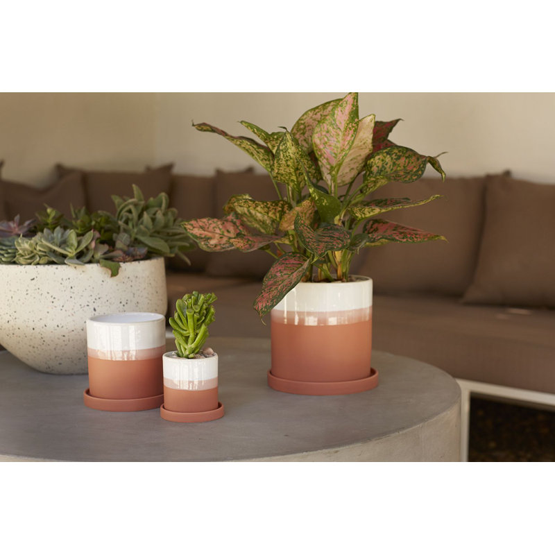 Edson Handmade Ceramic Pot Planter, 6" H x 6.25" W x 6.25" D