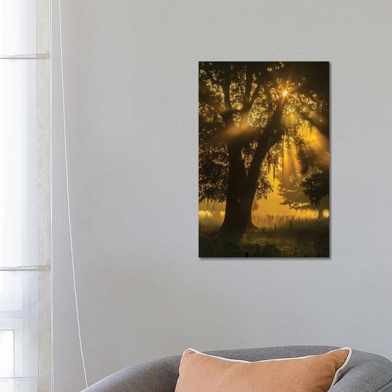 USA, Louisiana, Lake Martin. Tree Silhouette In Foggy Sunrise. by Jaynes Gallery - Wrapped Canvas Print