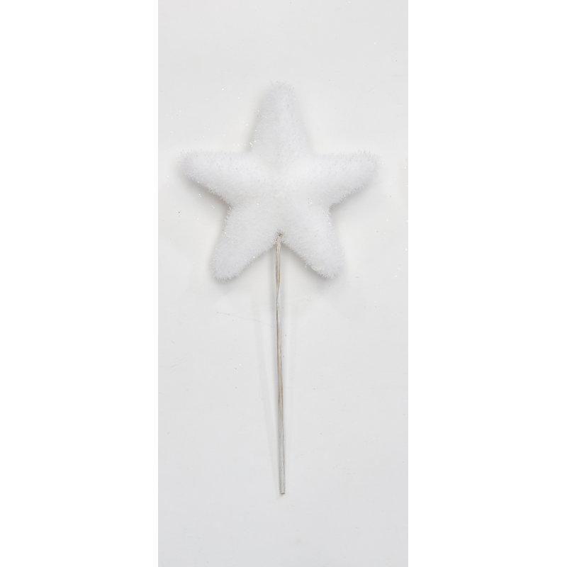 Étoile sur un choix de 6 po, Blanc
