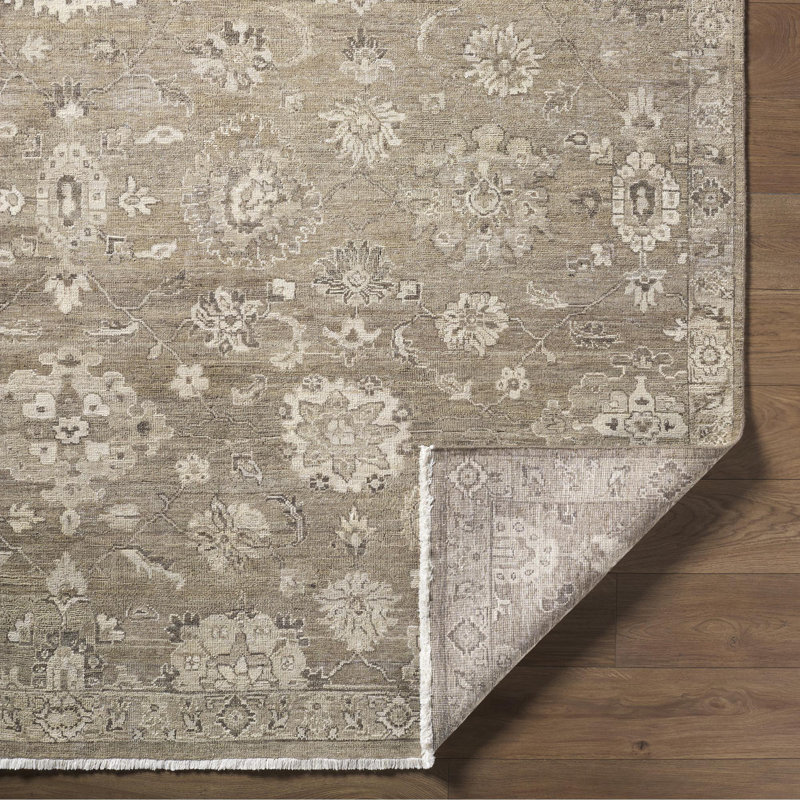 Anatolia Hand Knotted Wool Ikat Area Rug in Beige, Rectangle 2' x 3'
