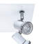 Linder Glass Spotlight