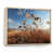 White Picture Framed
