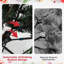Christmas Tree-2082821661