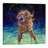 Moonlight Swim by Iris Scott - Wrapped Canvas Print-24772130