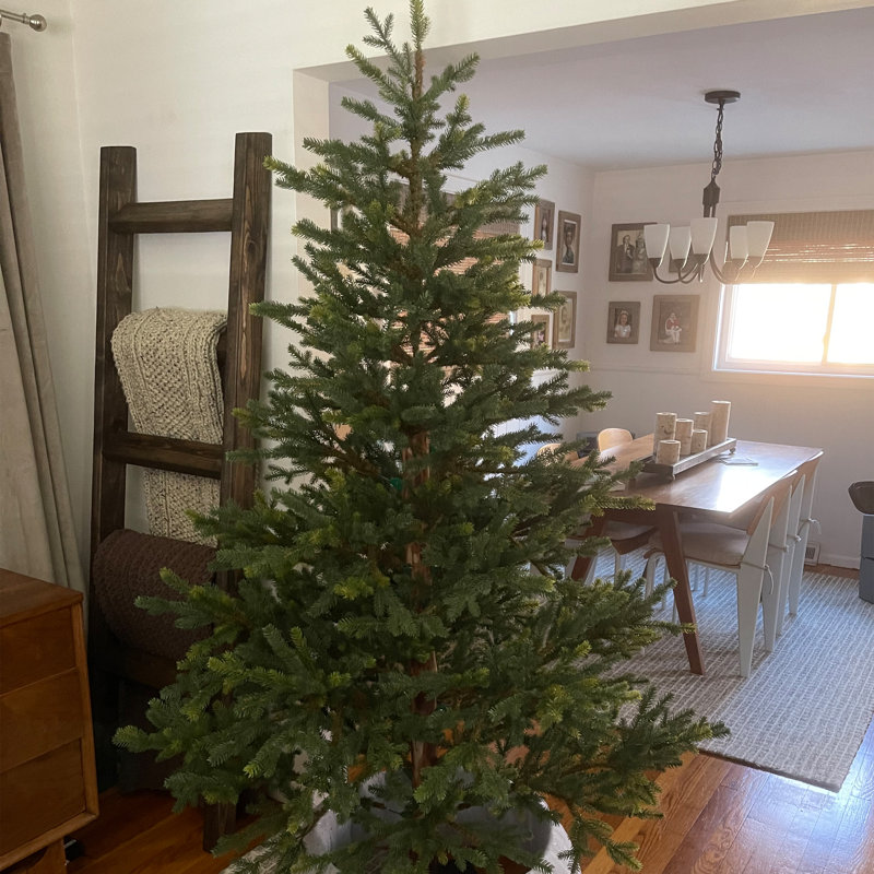 Arbre de Noël artificiel pin 6,5 pi North - non éclairé