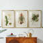 Elegant Tropicals III - Impression sur mesure encadrée de qualité supérieure - 3 pièces-1308953842-1308953839