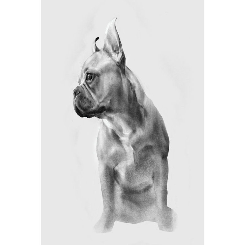 Pug Portrait II by Emma Caroline - Wrapped Canvas Print, 30cm H x 20cm W