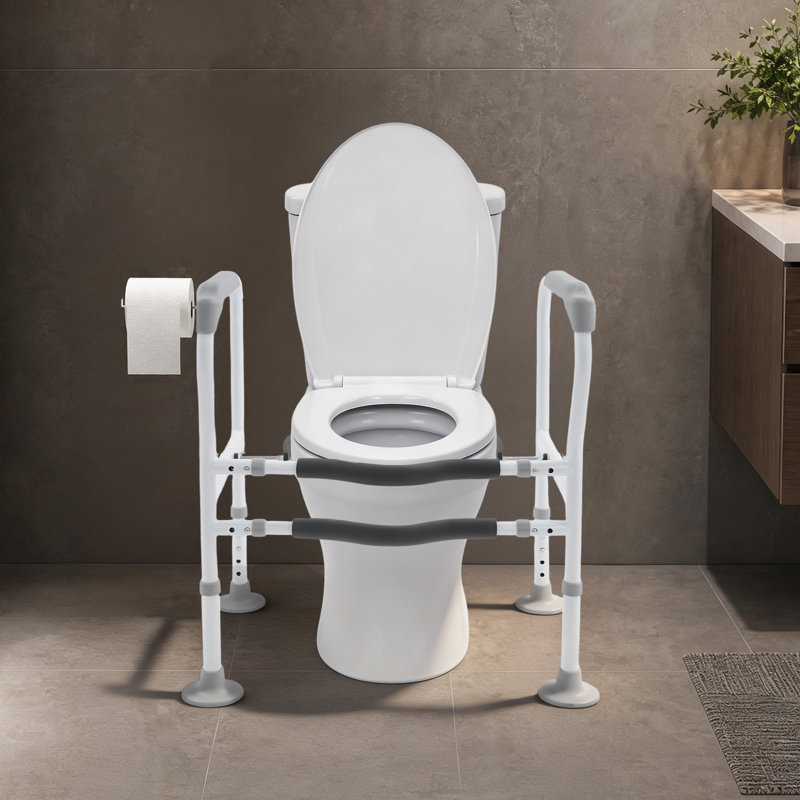 Toilet Safety Frame