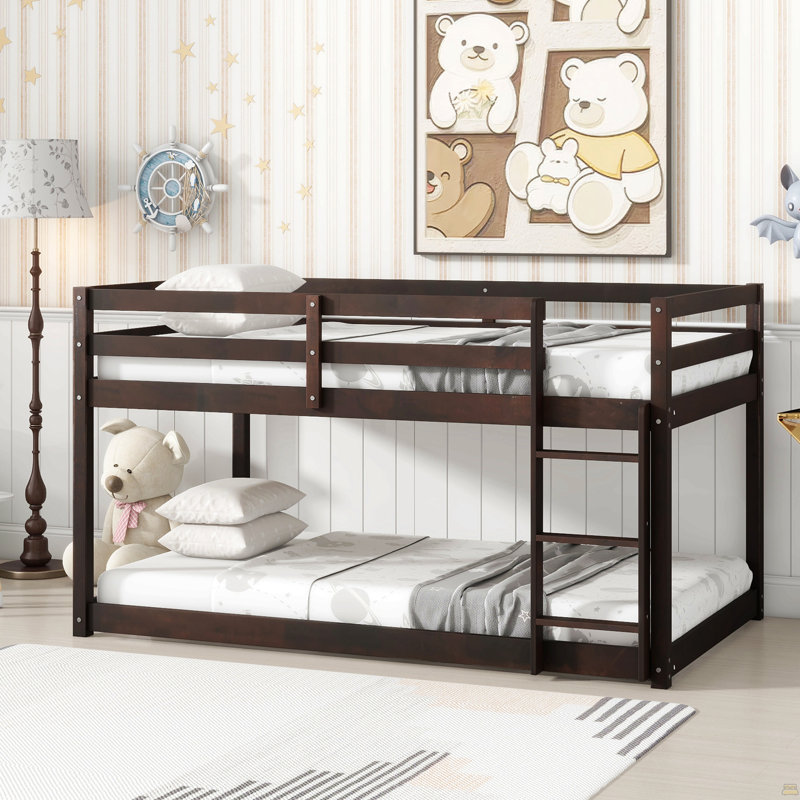 Lit superposé simple au-dessus d'un lit simple avec échelle en bois massif, Espresso