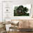 Lebanese Cedar Trees-242207586