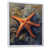 White Floater Framed