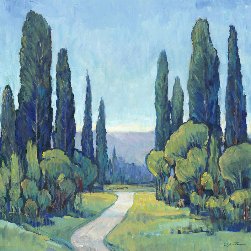 Cypress Path I - reproduction d'art sur toile, H 12 po x l 12 po x P 1,5 po