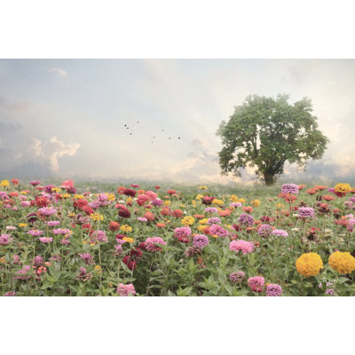 Zinnia Field by Lori Deiter
