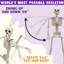 2 PCS 24” Halloween Skeleton Decor