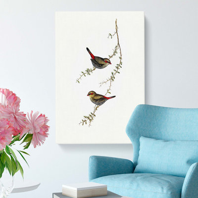 Finches by Elizabeth Gould - Wrapped Canvas