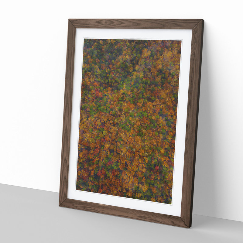 Thousands of Trees - Picture Frame Graphic Art, Walnut, 36cm H x 27cm W x 2cm D